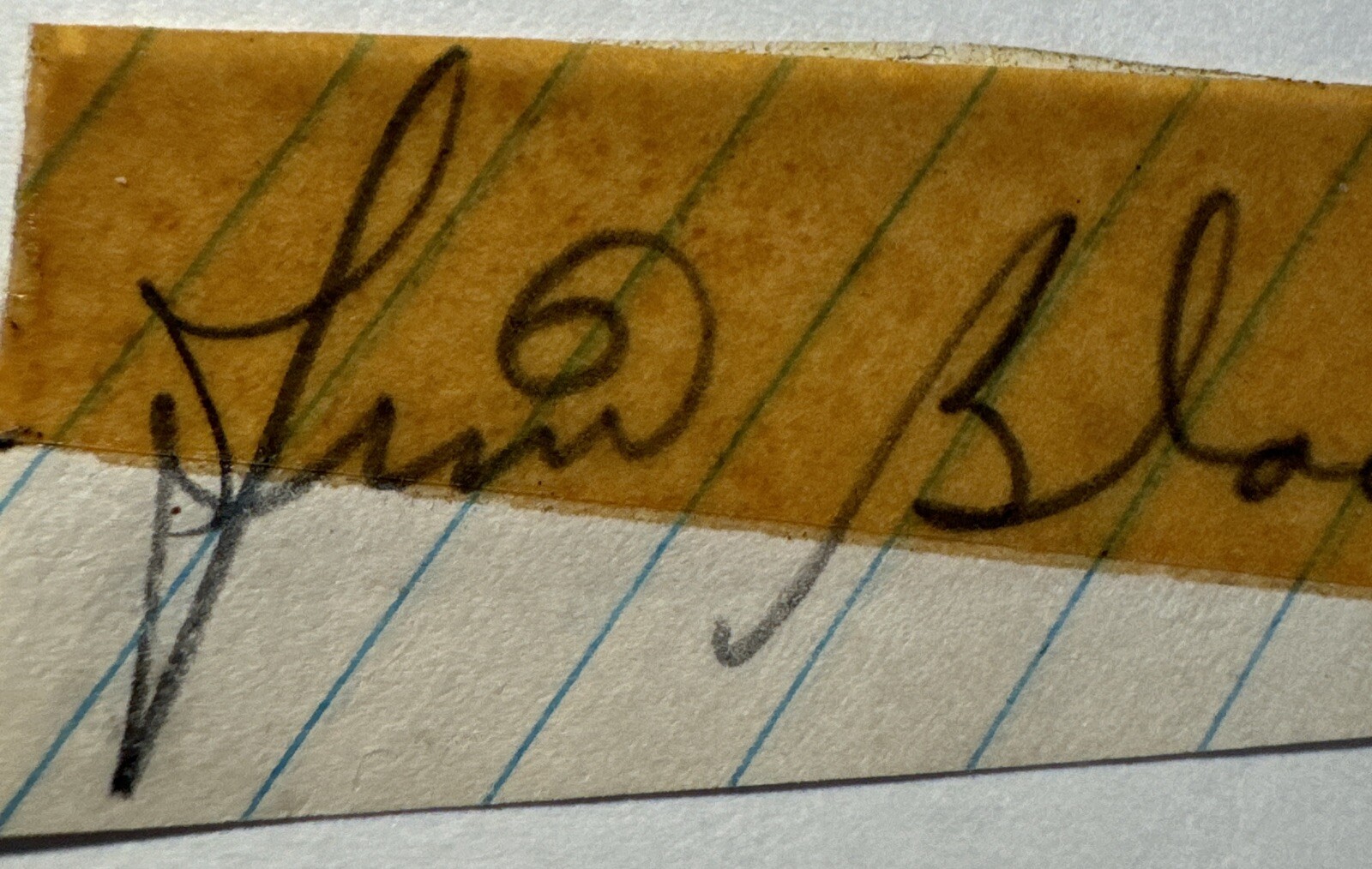 Picture 4 of 5