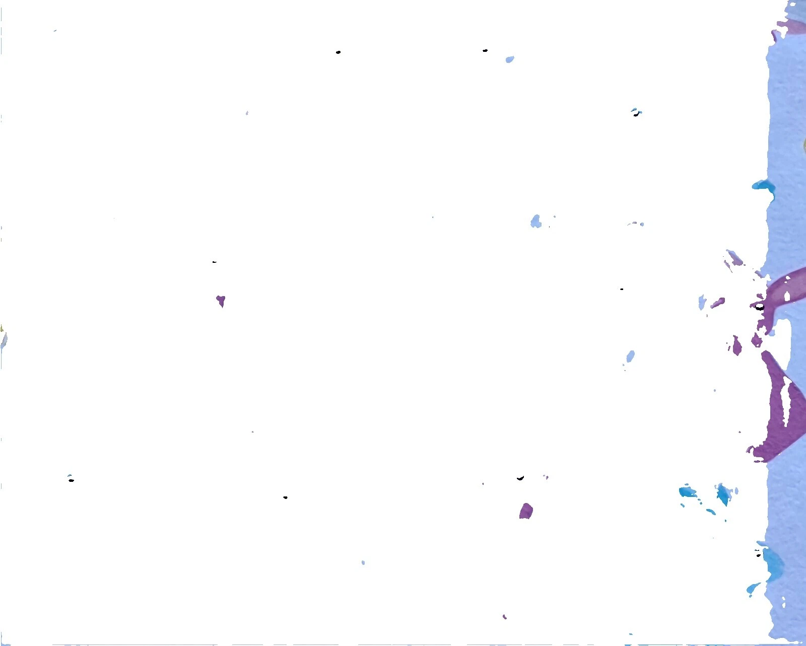 Animals & Insects Flannel Craft Fabrics