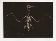 2024 Topps Allen & Ginter Inca Tern X-Ray Insert Card #xr-18