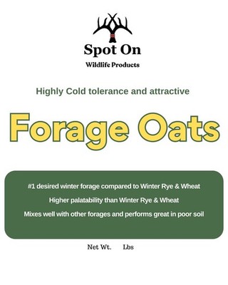 Spot On Winter Forage Oats Seed 10 lb Bag   Deer & Turkey Food Plot, Cold Hardy
