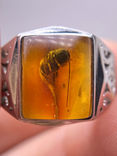Amber Insect Inclusion Signet Ring Square 15m...