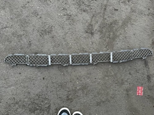 BMW X5 E70 ORIGINAL FRONT BUMPER LOWER GRILL - 8269744 - SILVER  - Picture 1 of 2