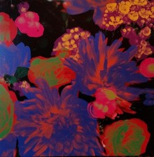 Darkstar Timeaway 12" vinyl UK Warp 2012 one sided disc in pic sleeve brand new