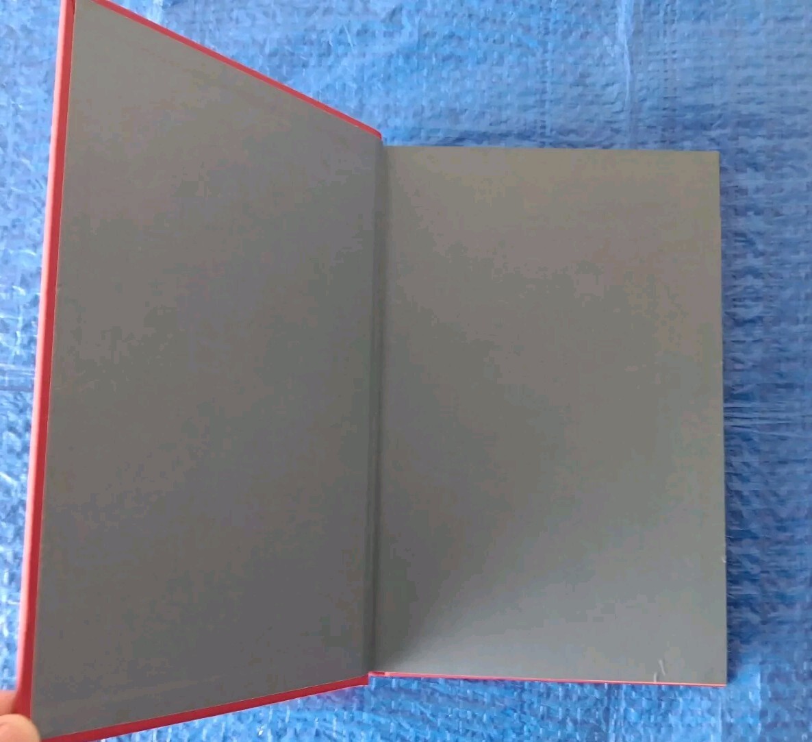 Picture 6 of 15