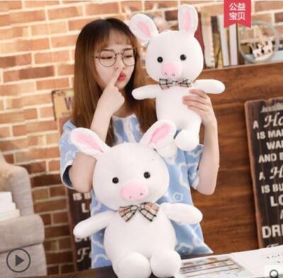 Stuffed Plush Toy Korean TV Drama You are Beautiful Rabbit Pig