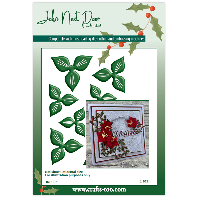 New John Next Door Metal Cutting Die Christmas Amaryllis Flower JND306