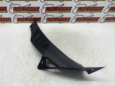 BMW S1000r 2017 Grill Cover Left 46638560329 for sale online | eBay