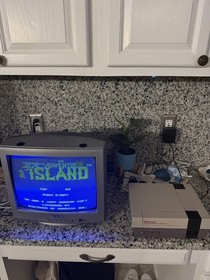 Hudson's ADVENTURE ISLAND Nintendo NES W/ Manual & Sleeve Cleaned & Tested