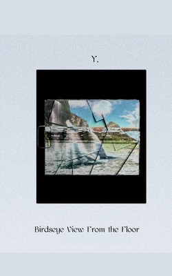 Y. Wilds | Birds-eye View From the Floor | Taschenbuch | Englisch (2024)