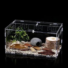 Mini Reptile Terrarium Tank Tarantula Enclosure Acrylic 11.8x7.8x5.9 Inch Cage