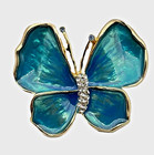 Brooch Beautiful Turquoise Butterfly with Gold Edging Pin-on Brooch