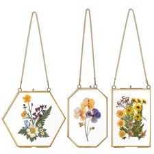 3 Pcs Double Glass Frame for Pressed Flowers- Hanging Golden Glass Frames wit...