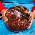 16.45 LB Large Natural Petrified Wood Agate Sphere Crystal Healing Specimen 4067 — photo 10