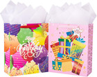 13" Large Girl Birthday Gift Bags with Tag and Tissue Paper - 2 Pack for Kids Bi