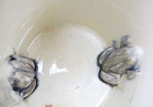 1890 double frog figurines in the bottom of a majolica coffee MUG big jokemug - 第 4/9 張圖片