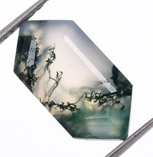 Brilliant Cut Moss Agate Hexagon 12X6mm Loose Gemstone Birthday Gift 2.80 Ct.
