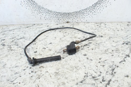 Find #15 2002 Polaris Sportsman 500 Ignition Coil * In Ogden, Utah, US - Foto 9