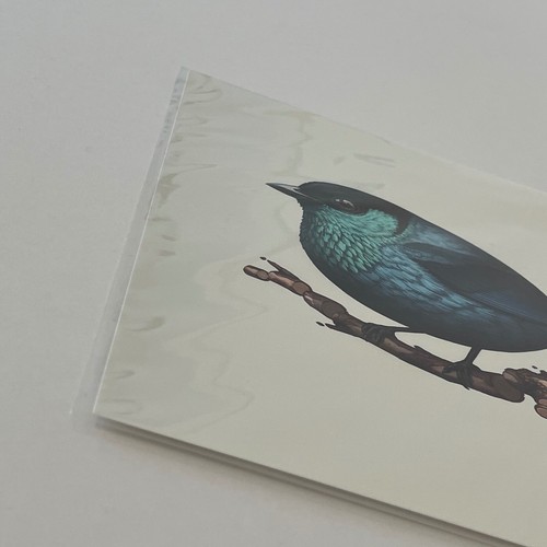 Mike Mitchell Black Capped Tanager 2018 Fat Bird Kingdom FIRMATO turchese - Foto 3 di 4
