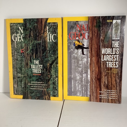 National Geographic Oct. 2009 & Dec. 2012 World’s Largest Redwoods Posters L20