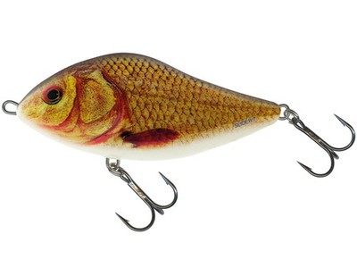 Salmo Slider 10cm 36g SD10F Schwimmköder Jerkbait Hecht Zander NEUE FARBEN