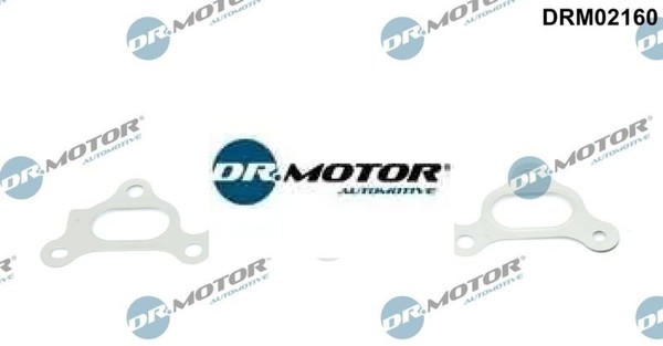Dr.Motor Automotive DRM02160 Dichtung FüR AbgaskrüMmer Dichtung-image
