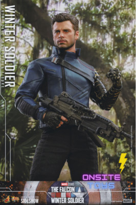 ☆新品☆HOTTOYS ホットトイズ 1/6『ファルコン＆ウィンター