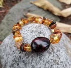 Natural Baltic Amber Bracelet Chip Beads Multi-Color Large Unique Baltic Amber