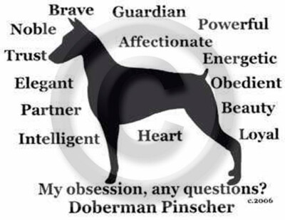 Doberman Pinscher Dog My Obsession, Any Questions? T-shirt Choices