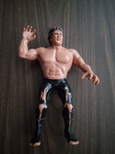 Ricky The Dragon Steamboat 1986 WWF WWE LJN Action...