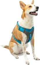 Journey Air Dog Harness, Vest Harnesses for Dogs, Pet Hiking Harness for Running