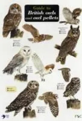 Thomas, L: Guide to British Owls and Owl Pellets | Leanne Thomas | Englisch
