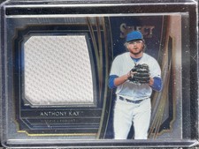 Kay, Anthony - 2020 Select - Swatch