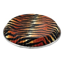 Conga, Symmetry, 12.50 D2 Skyndeep, tiger Stripe Graphic Drum Head