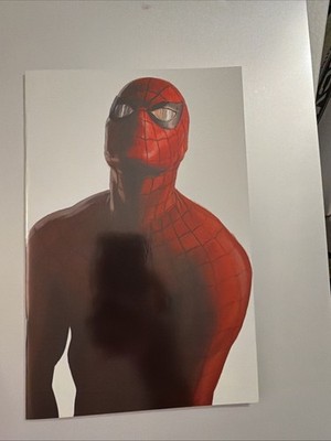 Amazing Spider-Man #50 - Mexican Foil Alex Ross Timeless Virgin - Heroes Con NM 