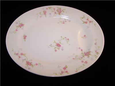 Theodore Haviland New York TOURAINE Oval Platter 14" - Picture 1 of 1