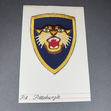 Pittsburgh PA Pennsylvania Panthers PITT 4" Patch