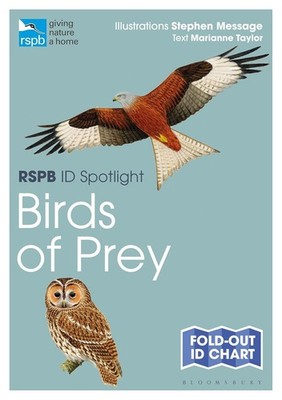 RSPB ID Spotlight - Birds of Prey (Fold-out ID chart) by Marianne Taylor