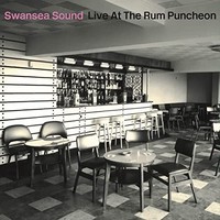 Swansea Sound - Live At The Rum Puncheon - Cd - G3Z