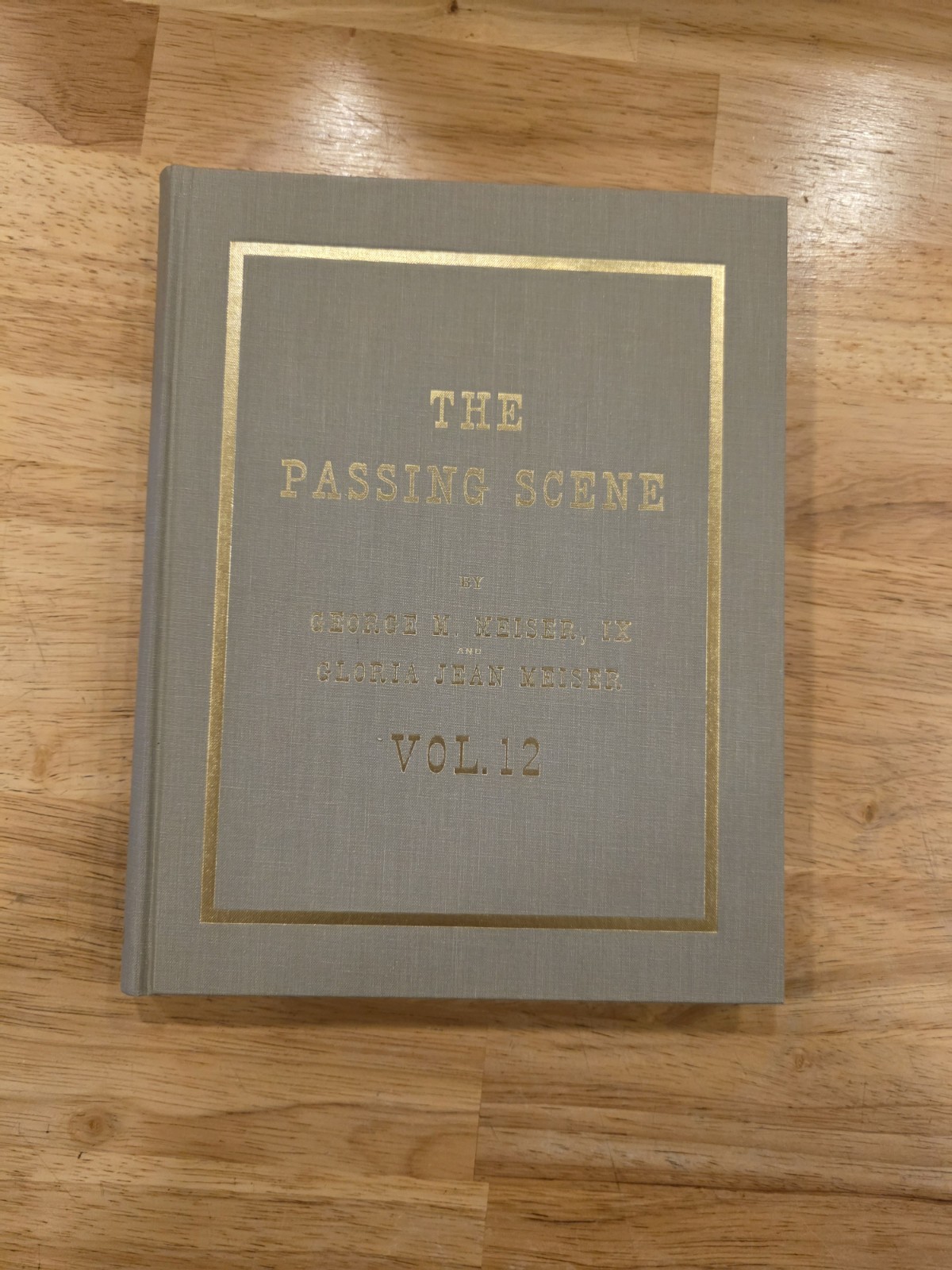 THE PASSING SCENE VOL 12 BY GEORGE M. MEISER GLORIA BERKS CO READING PA