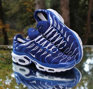 Nike Air Max Plus TN Arctic Chill Menâs Size 8.5 Royal Blue White CW7024-400 | eBay