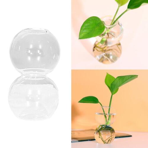 Bubble Planter Glass Vase Flower Vase Home Decorative Vase for Flower Vase for - Picture 1 of 10
