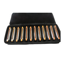EASTTOP 10Hole Diatonic Blues Harmonica Set Harp T008S Mouth Organ Set Gift
