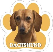 Dachshund, Red Car Magnet With Unique Paw Shaped Design Measures 5.2 by 5.2 Inch
