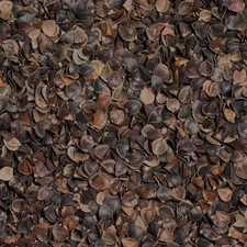 Organic Buckwheat Hull- Eco Refill for Cushion, Pillow and Craft - Made in USA