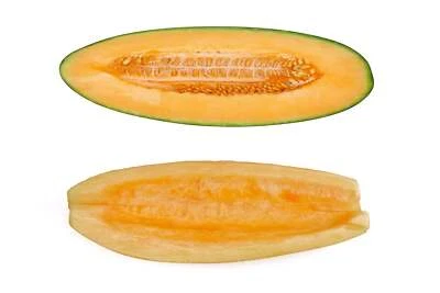 SEEDVILLE USA 50 BANANA CANTALOUPE Melon Fruit Cucumis Melo Seeds