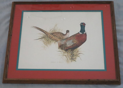 Print Charles E. Murphy ''Ring Neck Pheasant''