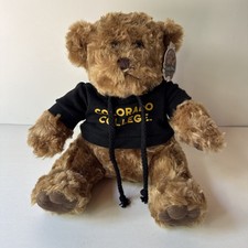 Chelsea Teddy Bear Colorado College Plush Bear Hoodie Mascot