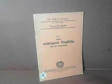 Our main farmed fish and their way of life. (= A Fishing Watch 152548