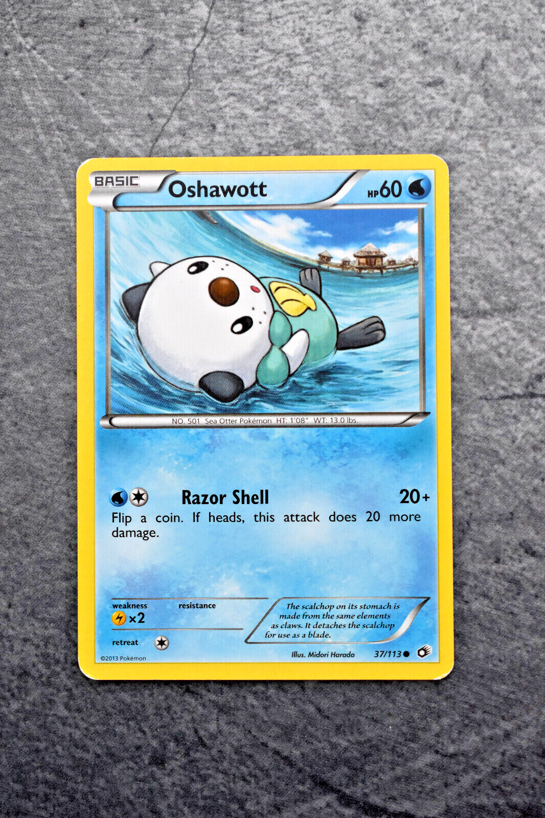 Pokemon TCG - Oshawott 37/113 - Legendary Treasures - Common LP