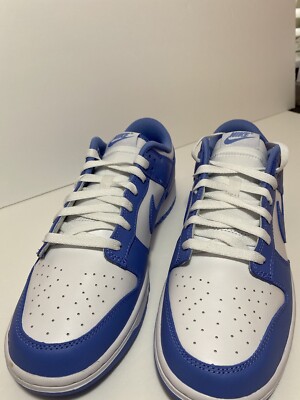 Size 10 - Nike Dunk Low Polar Blue